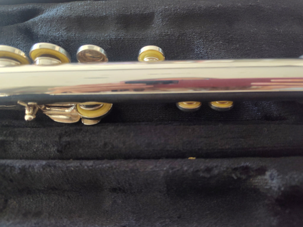 Trevor James 10XE Flute Closed Hole, Offset G, C foot VIDEO DEMO