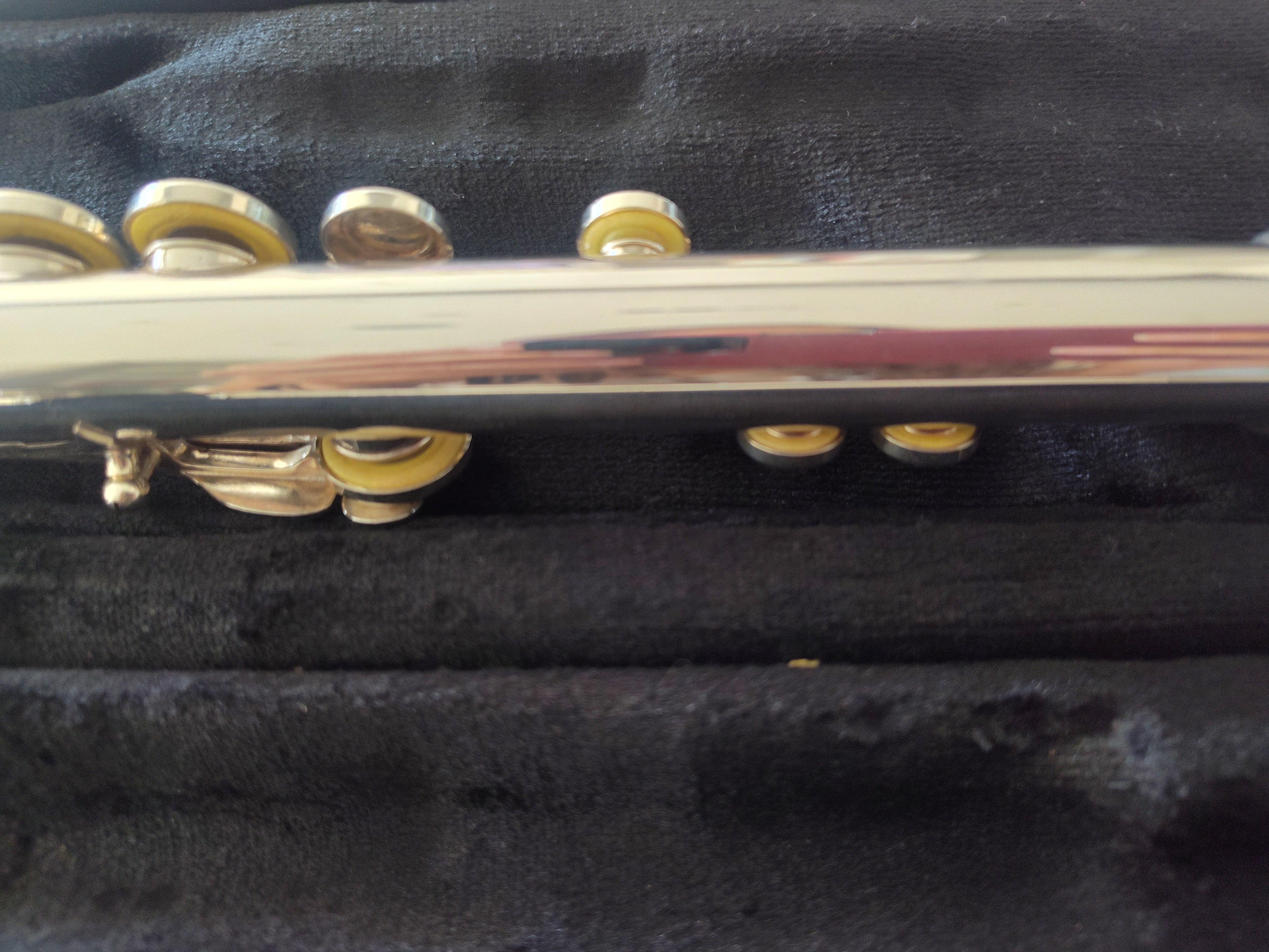 Trevor James 10XE Flute Closed Hole, Offset G, C foot VIDEO DEMO