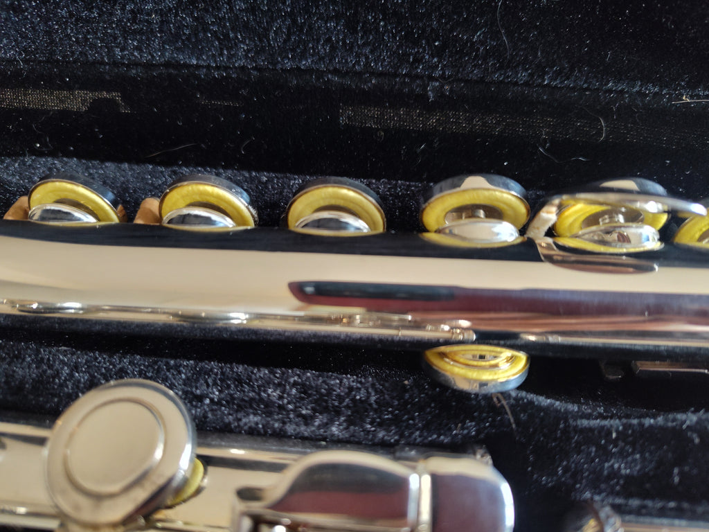 Trevor James 10 X E Refurbished Flute Mint Condition Beginner Flute